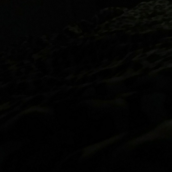 Meet your Posher, Laishaun - Picture 1 of 1